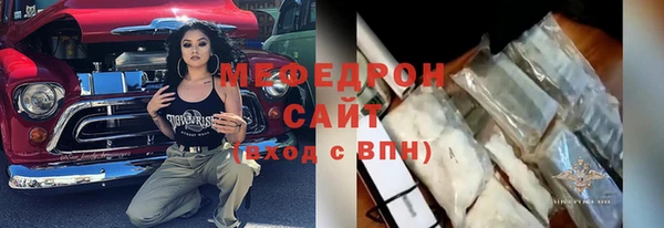 соль ск Ельня