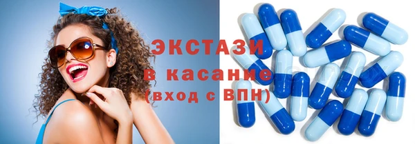 соль ск Ельня