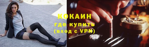 тгк Елизово