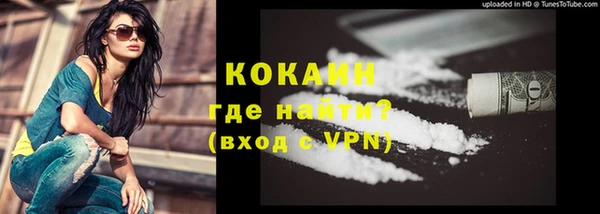 соль ск Ельня