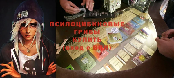 герыч Снежинск