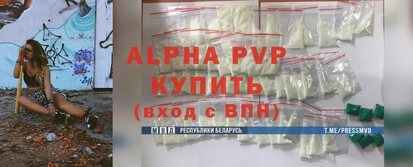 соль ск Ельня