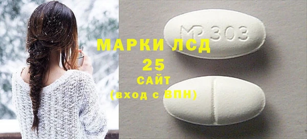 соль ск Ельня