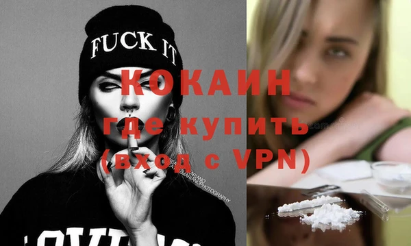 соль ск Ельня